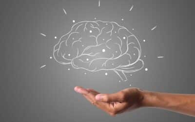 The Nicest Thing Anyone Said to Me and NeuroLeadership